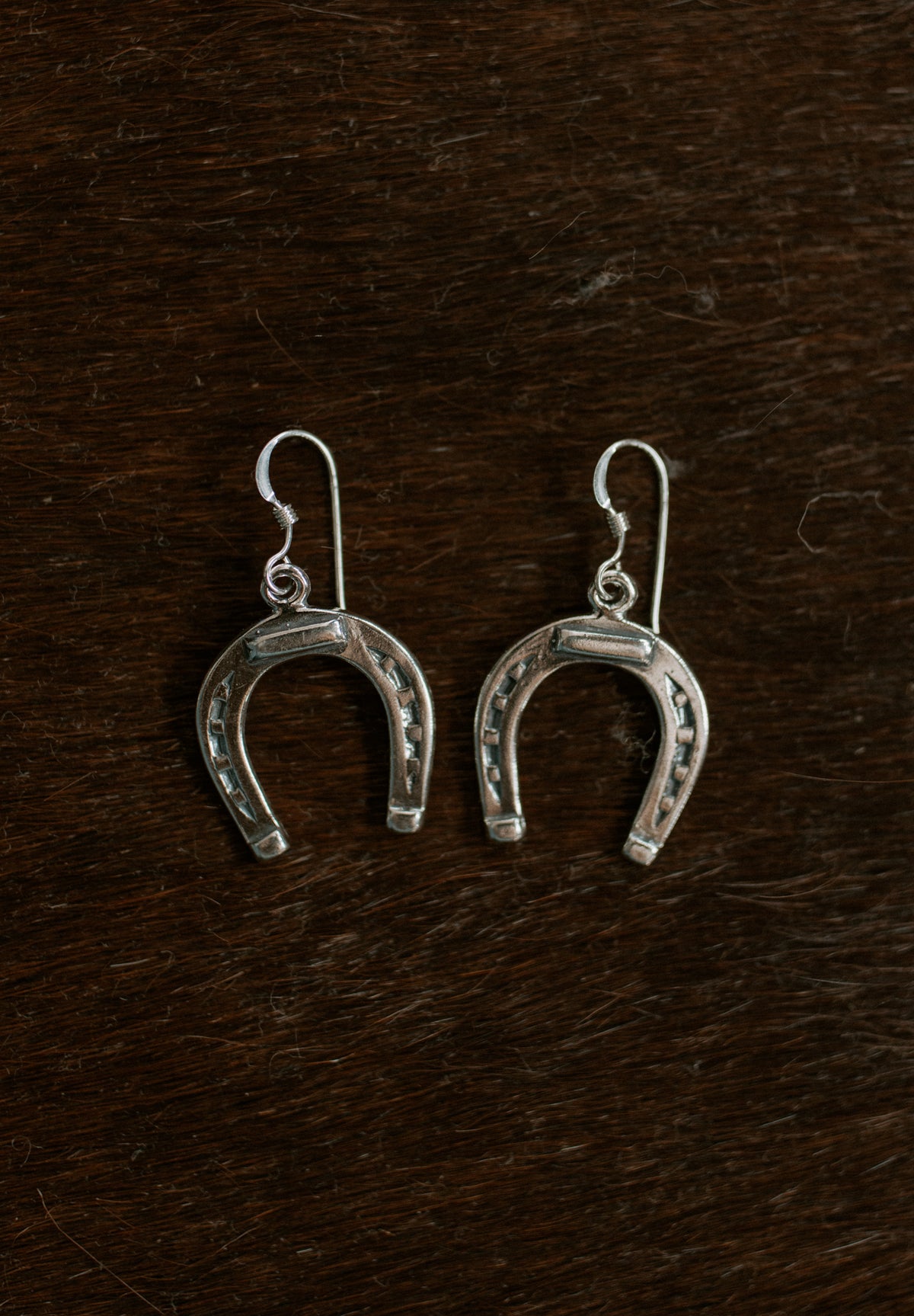 Silver Horseshoe Earrings