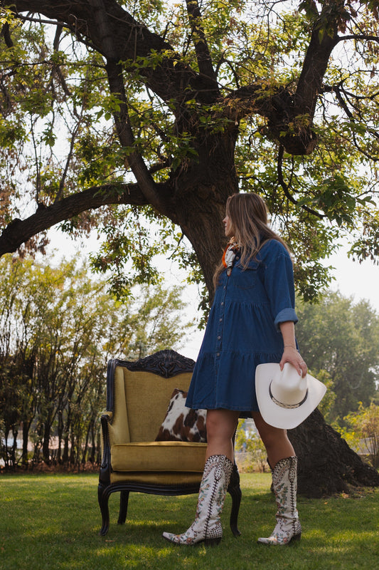 Denim Button Down Layered Dress