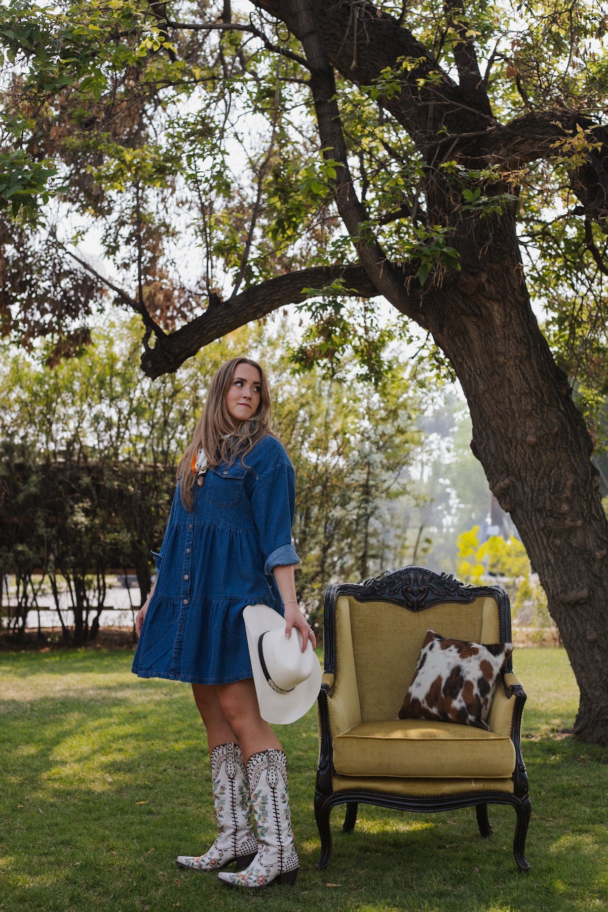 Denim Button Down Layered Dress