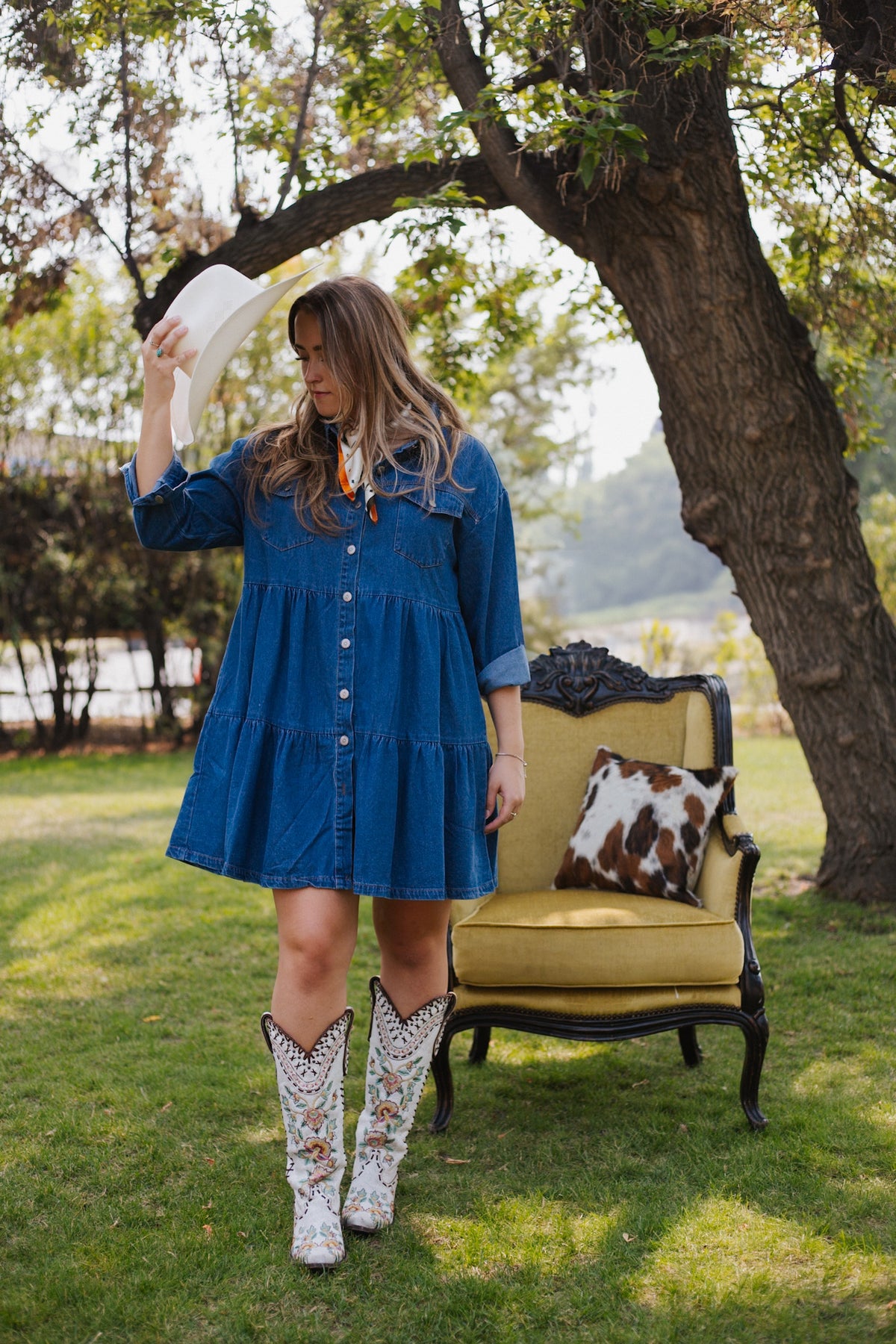 Denim Button Down Layered Dress