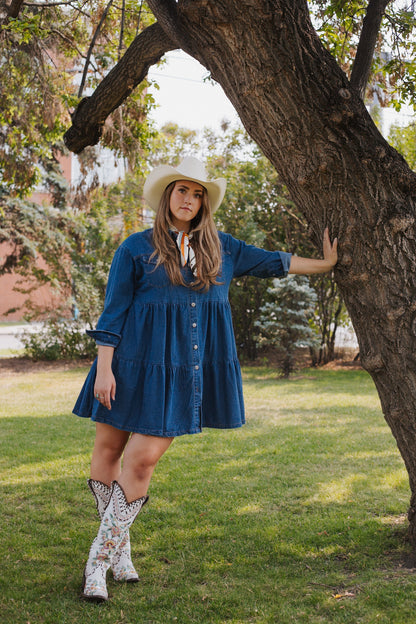 Denim Button Down Layered Dress