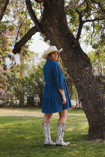 Denim Button Down Layered Dress