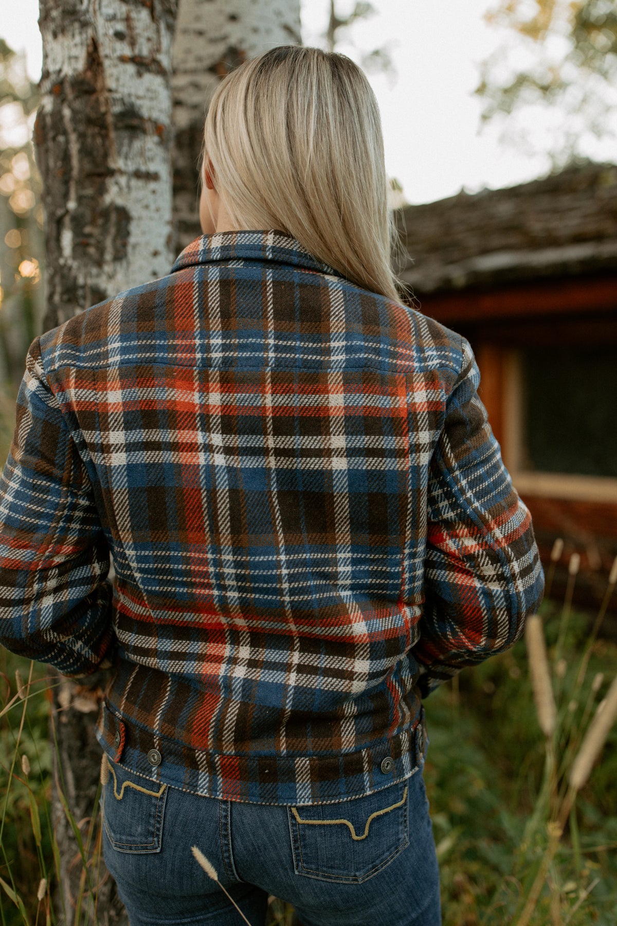 Somerville Sherpa Lined Trucker Jacket